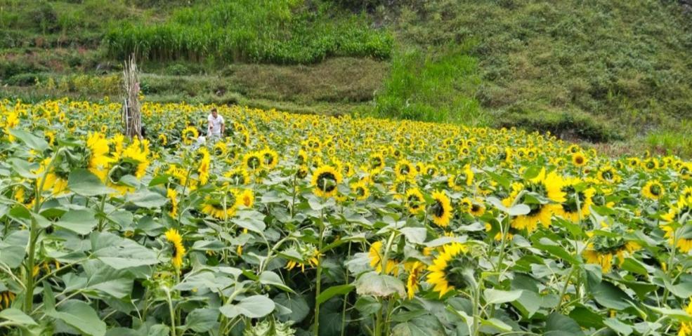 Nha Nghi Anh Van Dong Van  Exterior foto